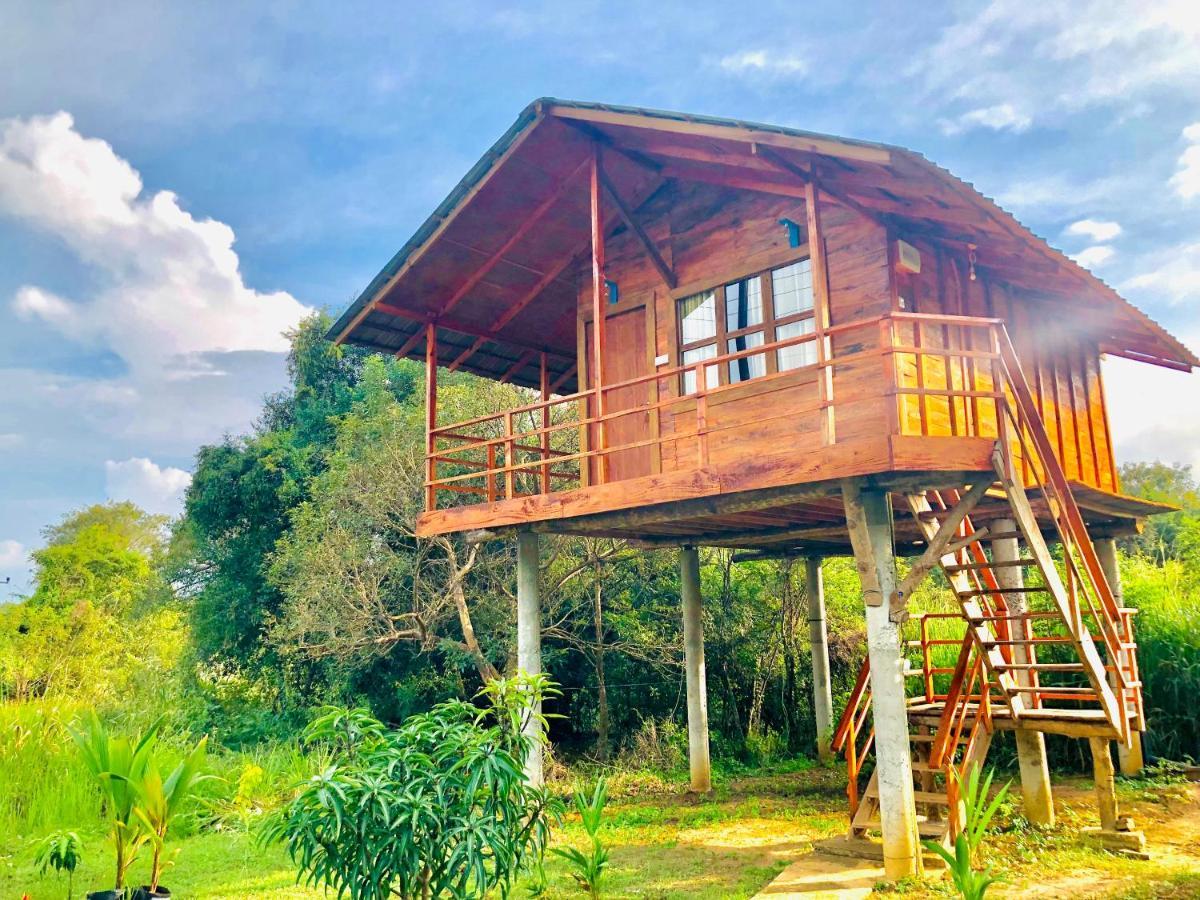 Sungreen Cottage Sigiriya Exterior foto
