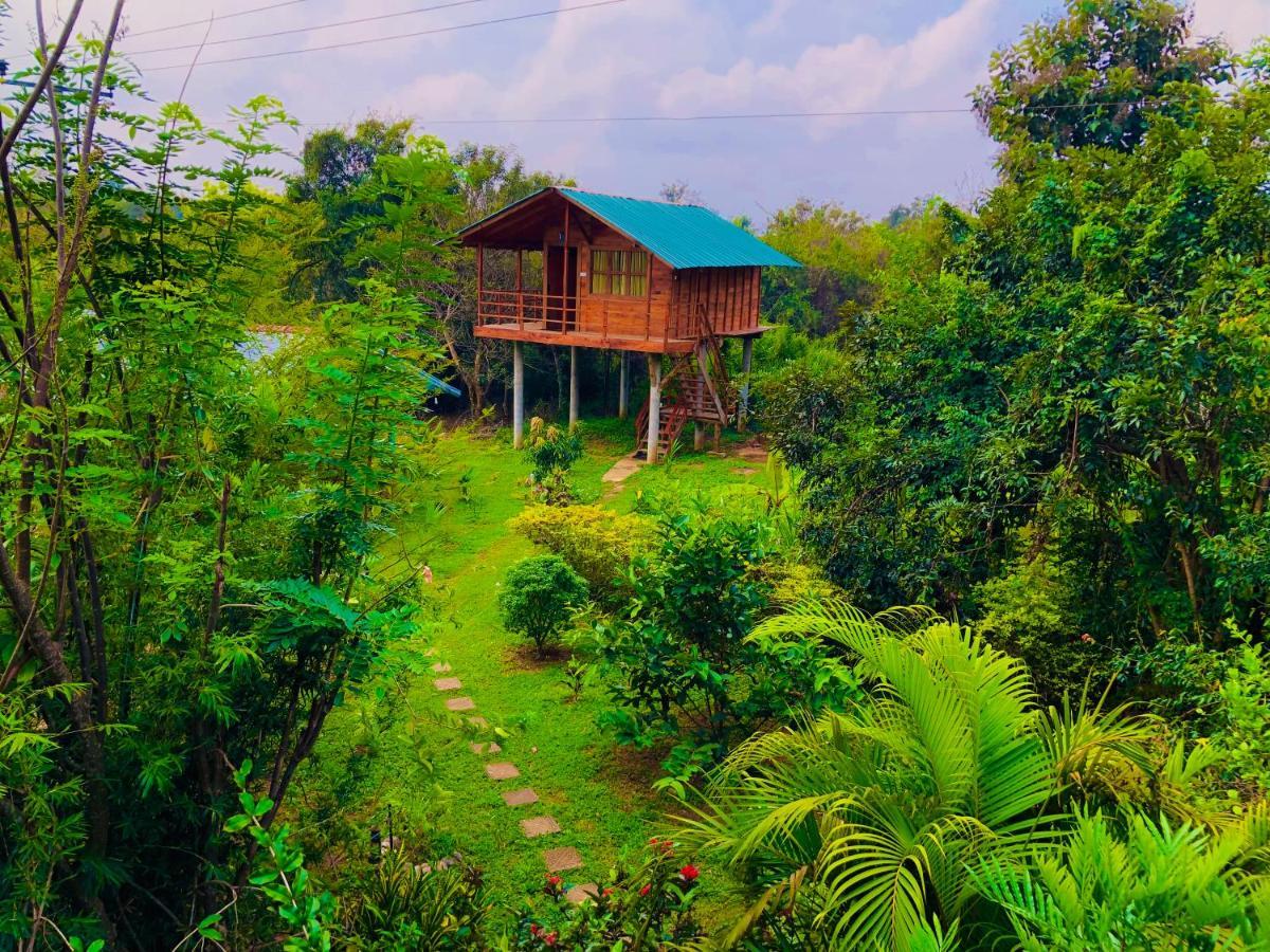 Sungreen Cottage Sigiriya Exterior foto