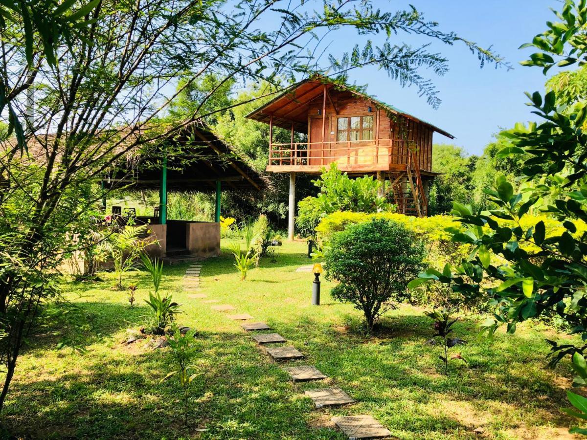 Sungreen Cottage Sigiriya Exterior foto